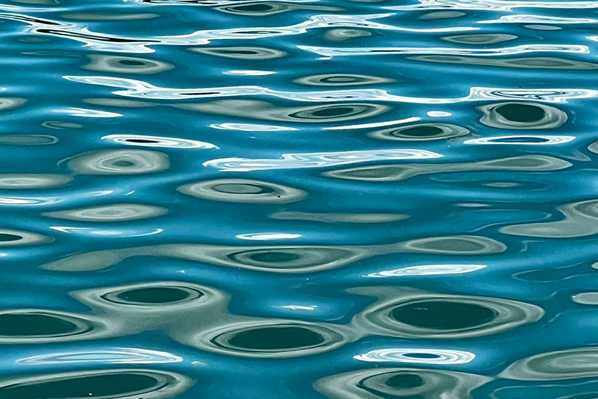 Wasser